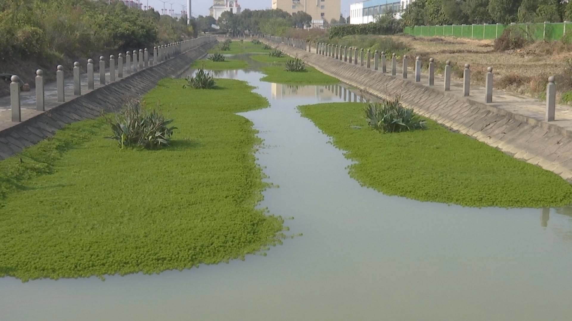 小蓝经开区明渠生态水体改造:聚力打造"美丽小蓝"