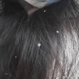 2021年湖南的第一场雪来啦!下在了这些地方....(最新发布)