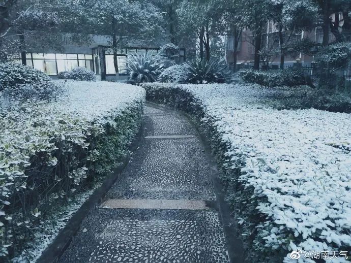 2021年湖南的第一场雪来啦!下在了这些地方....(最新发布)
