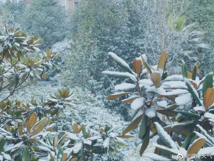 2021年湖南的第一场雪来啦!下在了这些地方....(最新发布)