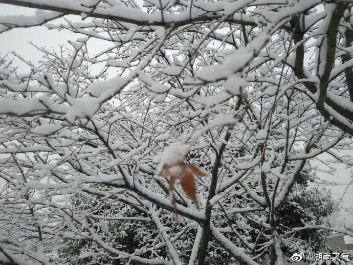 2021年湖南的第一场雪来啦!下在了这些地方....(最新发布)