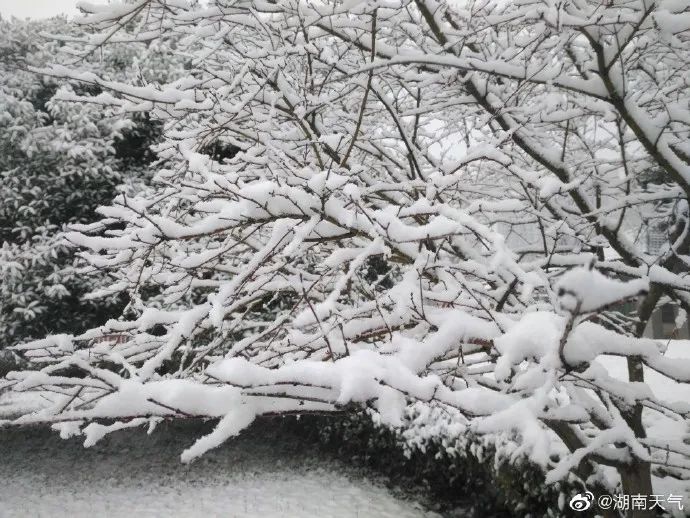 2021年湖南的第一场雪来啦!下在了这些地方....(最新发布)