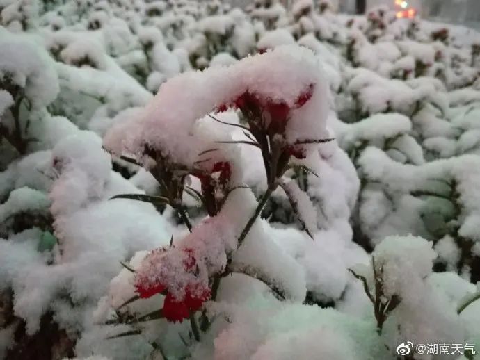 2021年湖南的第一场雪来啦!下在了这些地方....(最新发布)