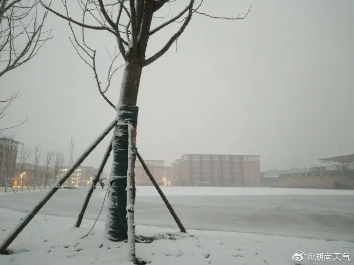 2021年湖南的第一场雪来啦!下在了这些地方....(最新发布)