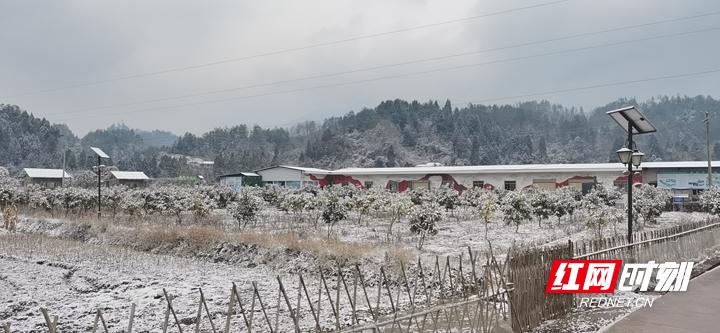 2021年湖南的第一场雪来啦!下在了这些地方....(最新发布)