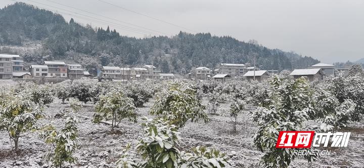 2021年湖南的第一场雪来啦!下在了这些地方....(最新发布)