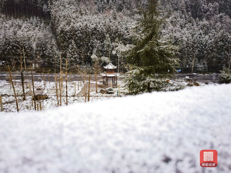 (绵阳日报社融媒体记者 彭雪 收集↑平武黄羊关藏族乡雪景.