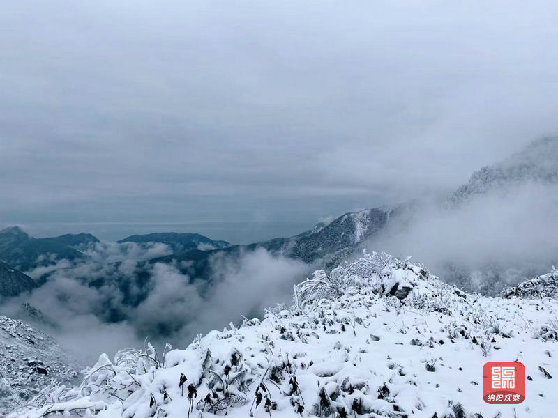 绵阳城区下雪啦!有图有视频