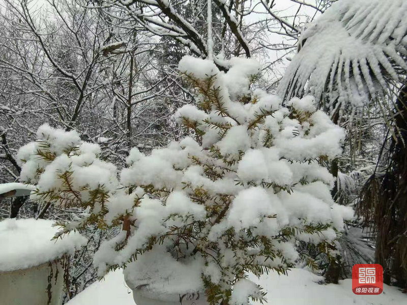 (绵阳日报社融媒体记者 李锦辉/摄↑三台鲁班水库雪景.