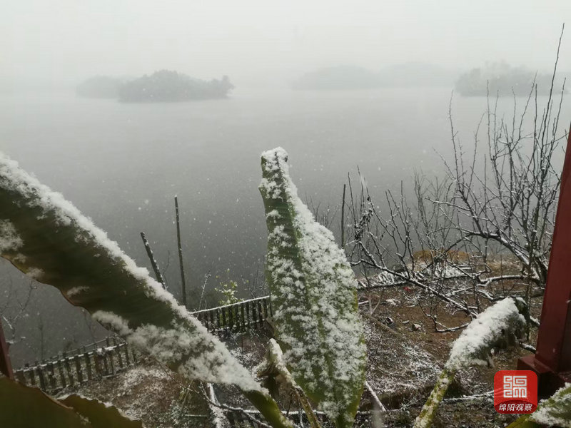 绵阳城区下雪啦!有图有视频