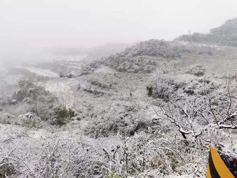 雪落成诗2021成都最美雪景不在朋友圈在这里