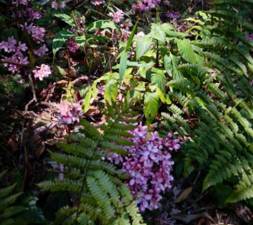 又有新成员！（最新发布）