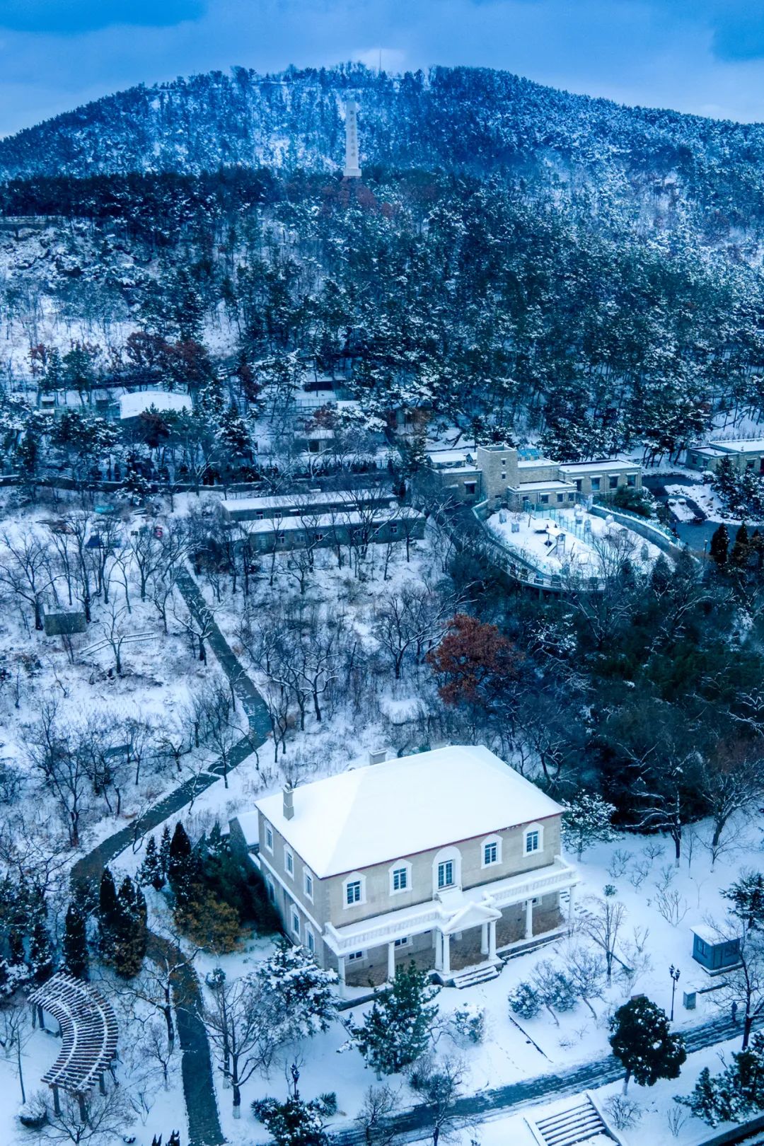 惊鸿一瞥即人间诗画威海这雪景绝了