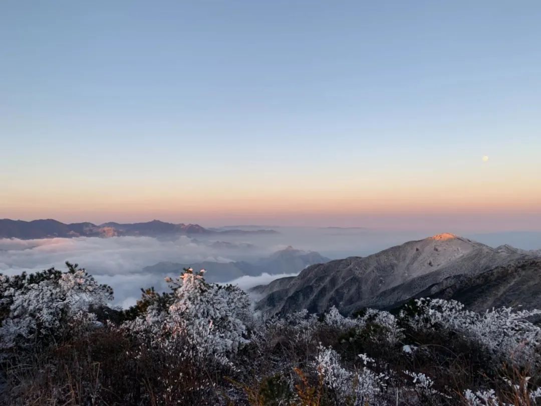 雾凇与红叶共舞福建多地下雪美景似仙境三明金铙山…南平武夷山