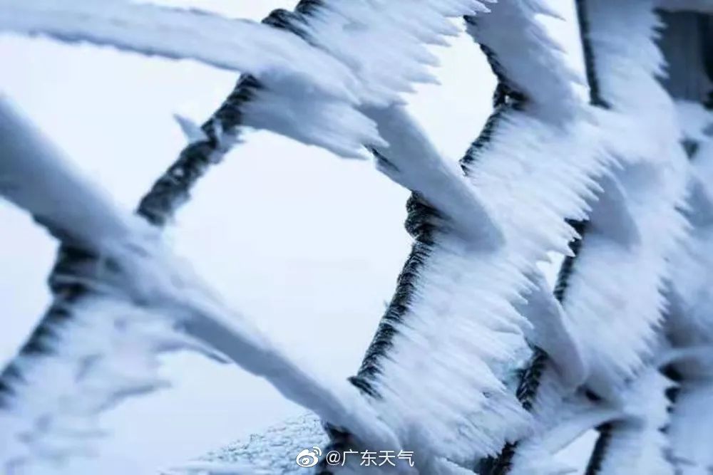广东真下雪了还要继续冷天河街坊挺住