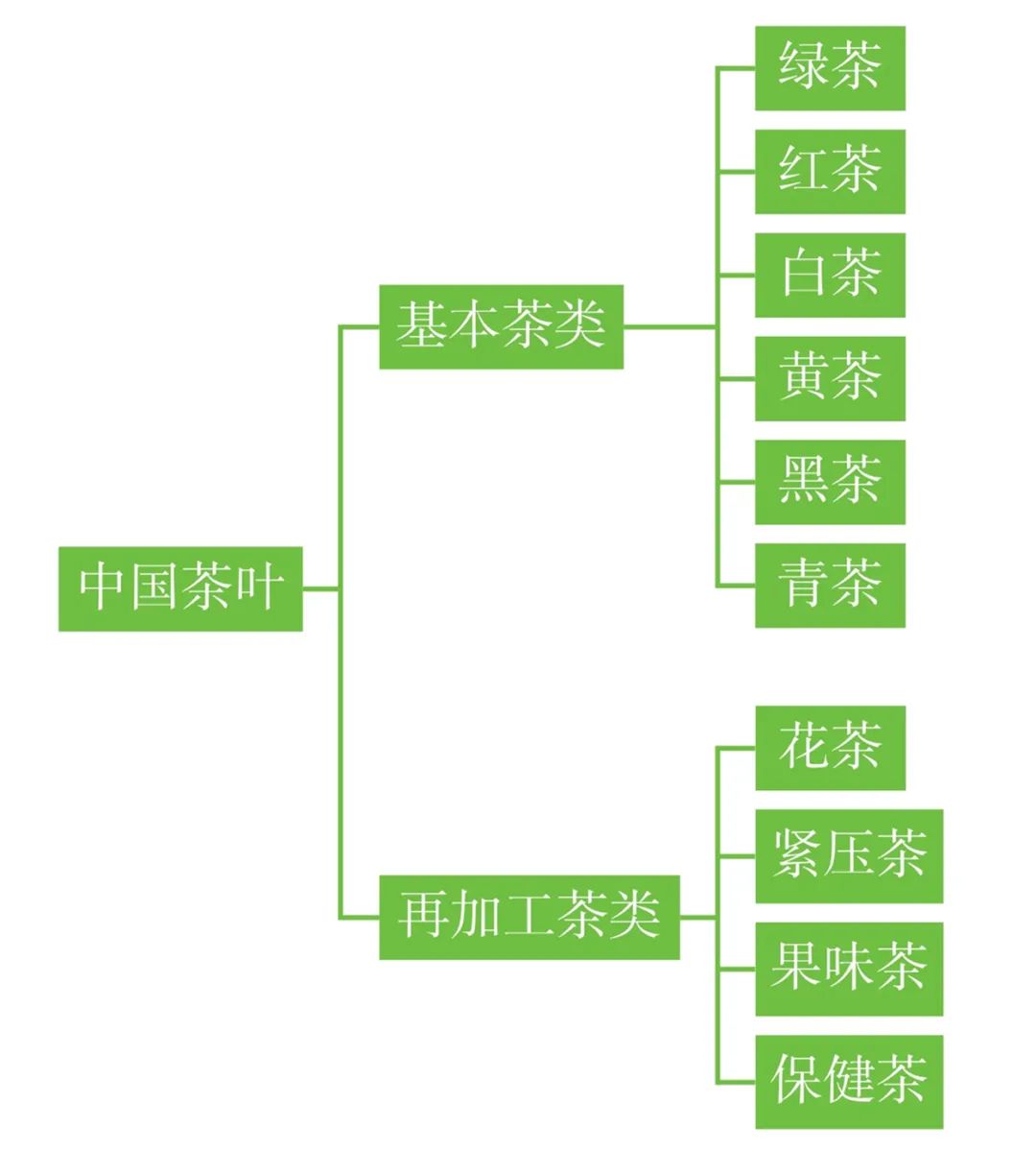 茶科普中国茶的基本分类