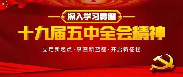 玉环市妇联掀起学习十九届五中全会精神热潮