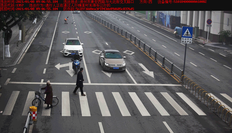 斑马线前不礼让行人,来看看有你吗?