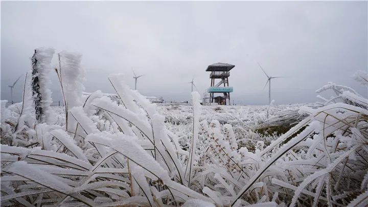 瑞雪兆丰年贵州多地迎来新年降雪唯美雪景惊艳冬日时光