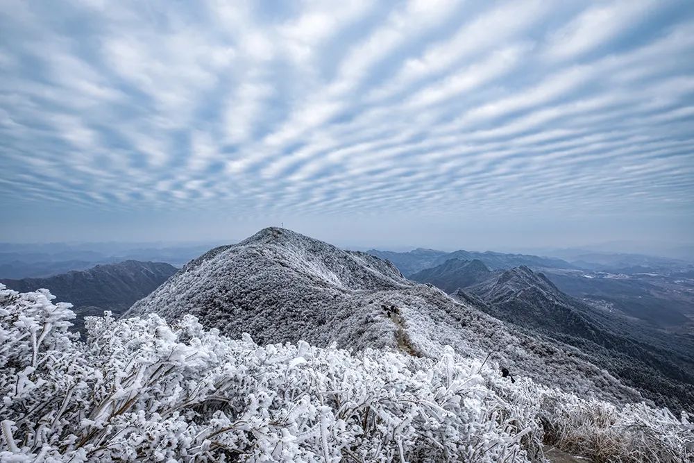 瑞雪兆丰年贵州多地迎来新年降雪唯美雪景惊艳冬日时光