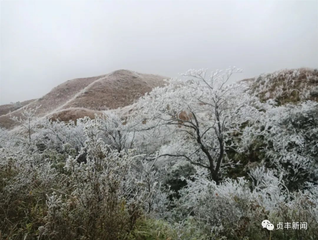 瑞雪兆丰年贵州多地迎来新年降雪唯美雪景惊艳冬日时光