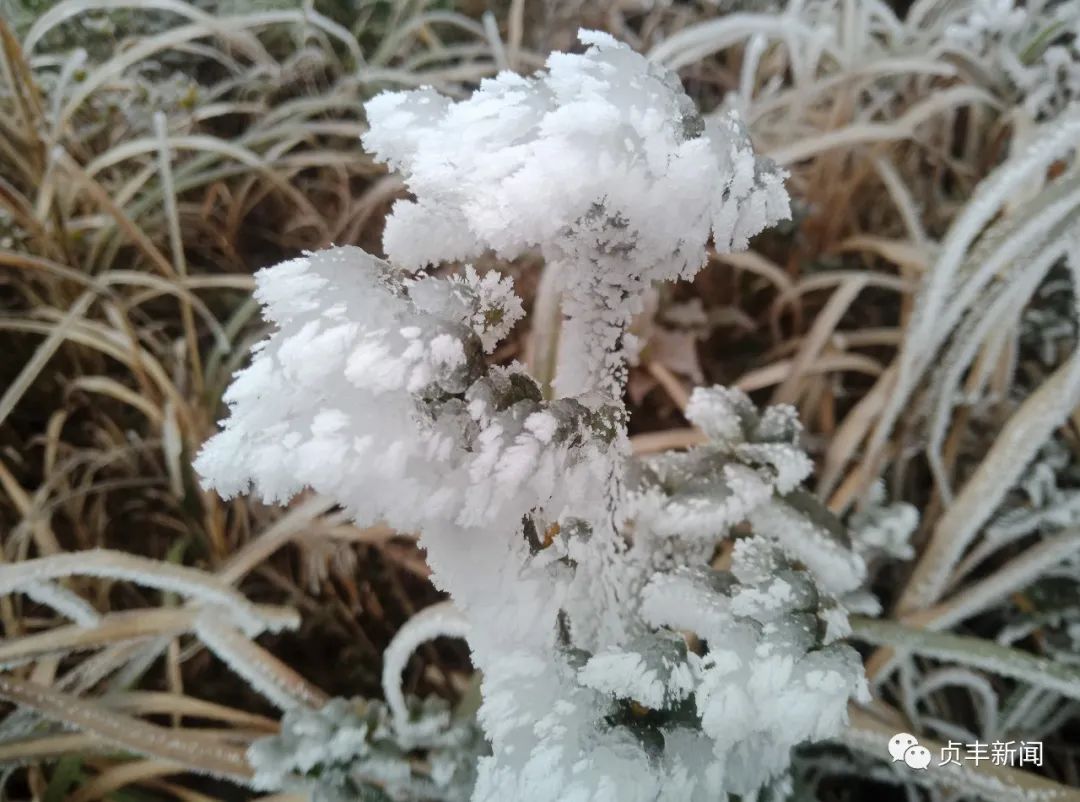 瑞雪兆丰年贵州多地迎来新年降雪唯美雪景惊艳冬日时光