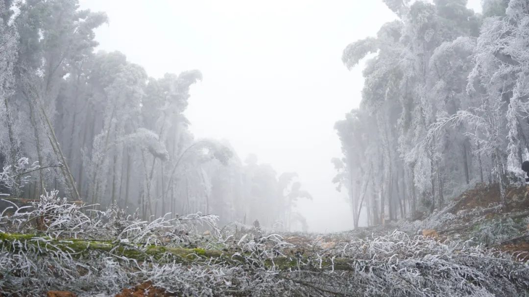 紧急通知!严防冰雪灾害