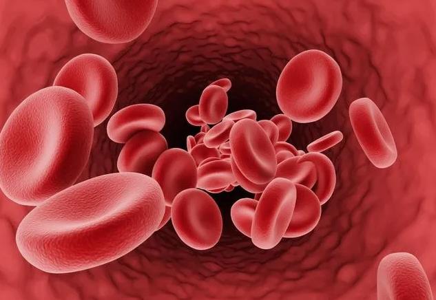 在止血,炎症反应,破损血管或细胞修复等方面有着重要作用,血小板中