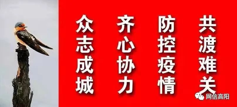 1月11日7时起,保定市暂停机动车尾号限行