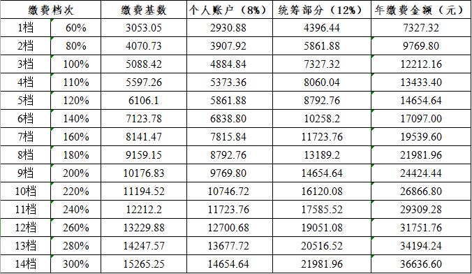 一,2021年上半年个体参保人员年缴费标准