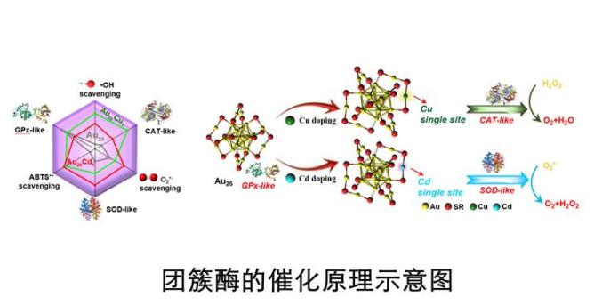 今日科技话题:火箭发动机,新冠,催化剂,新矿物,克隆"团簇酶"