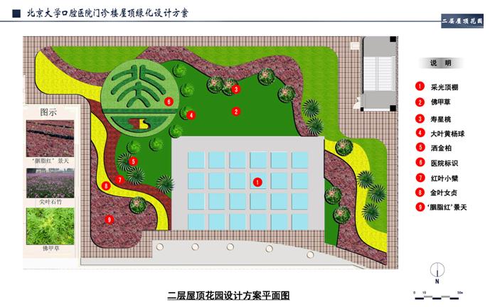 立体绿化 | 北京大学口腔医院门诊楼屋顶花园