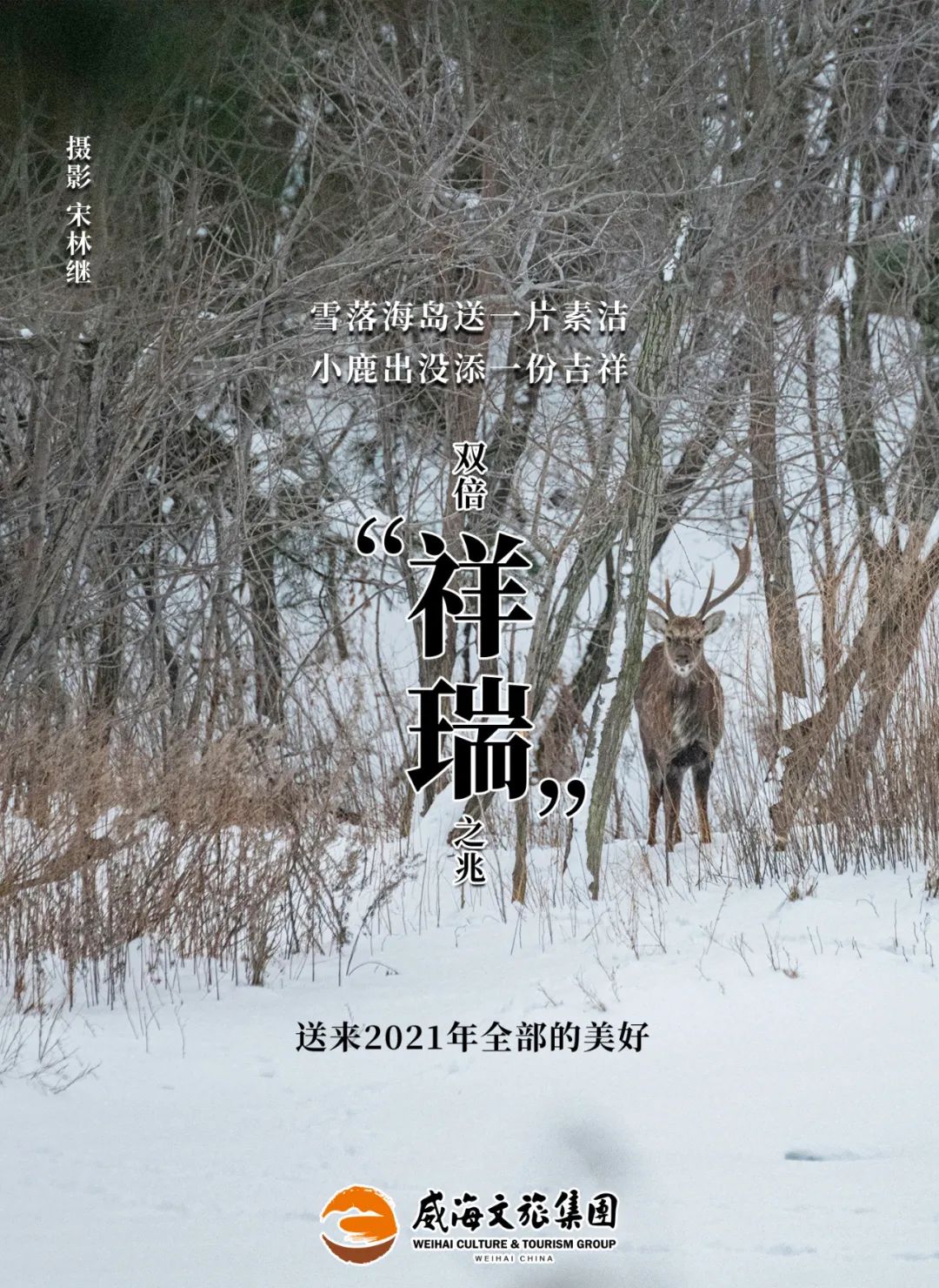 雪落海岛送一份素洁小鹿出没添一份吉祥新年伊始,迎来双份祥瑞之兆愿