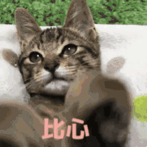 刚刚，湖南发布双预警！寒潮大风、雨雪冰冻真的来了！就在今晚！（最新发布）