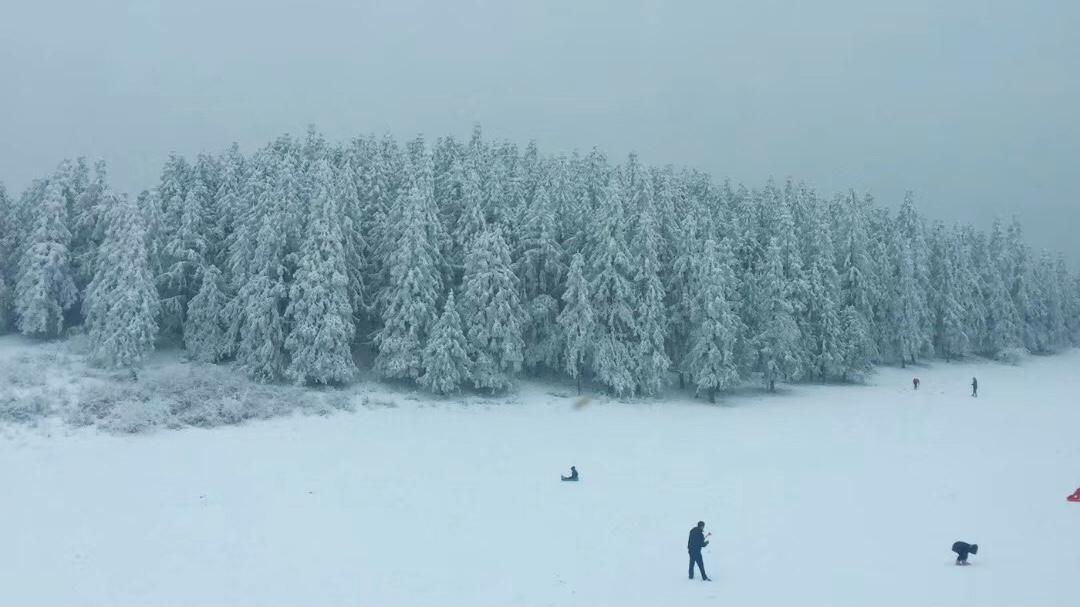 一个人在路灯下看雪