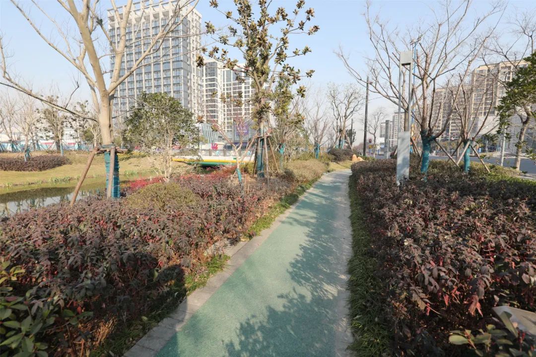 转角遇到绿这里有好多口袋公园等你来兜