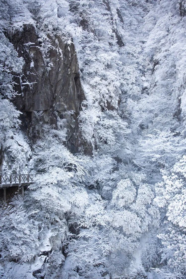 大寒赏尽武功山雪景静待春来