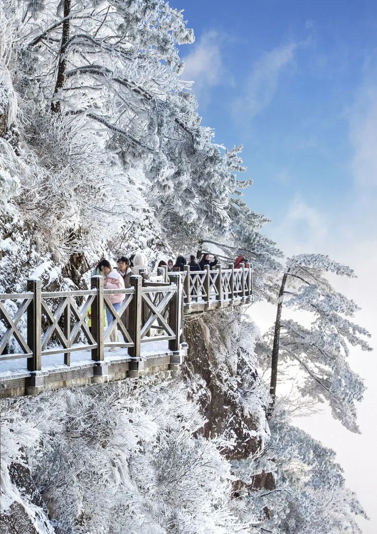 大寒赏尽武功山雪景静待春来