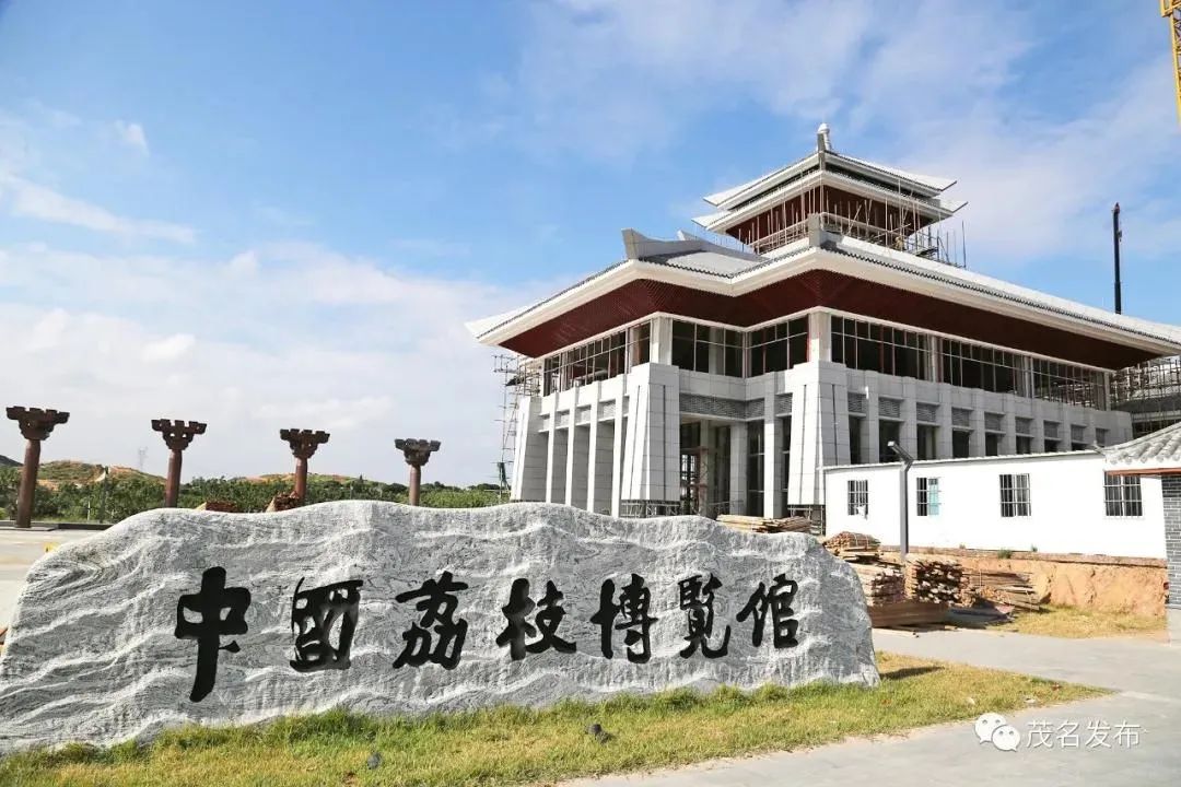 共建共治看高州