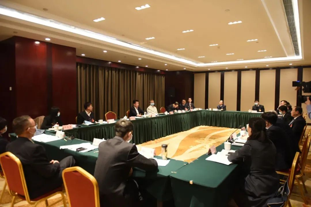 大同代表团全团分组审议省政府工作报告