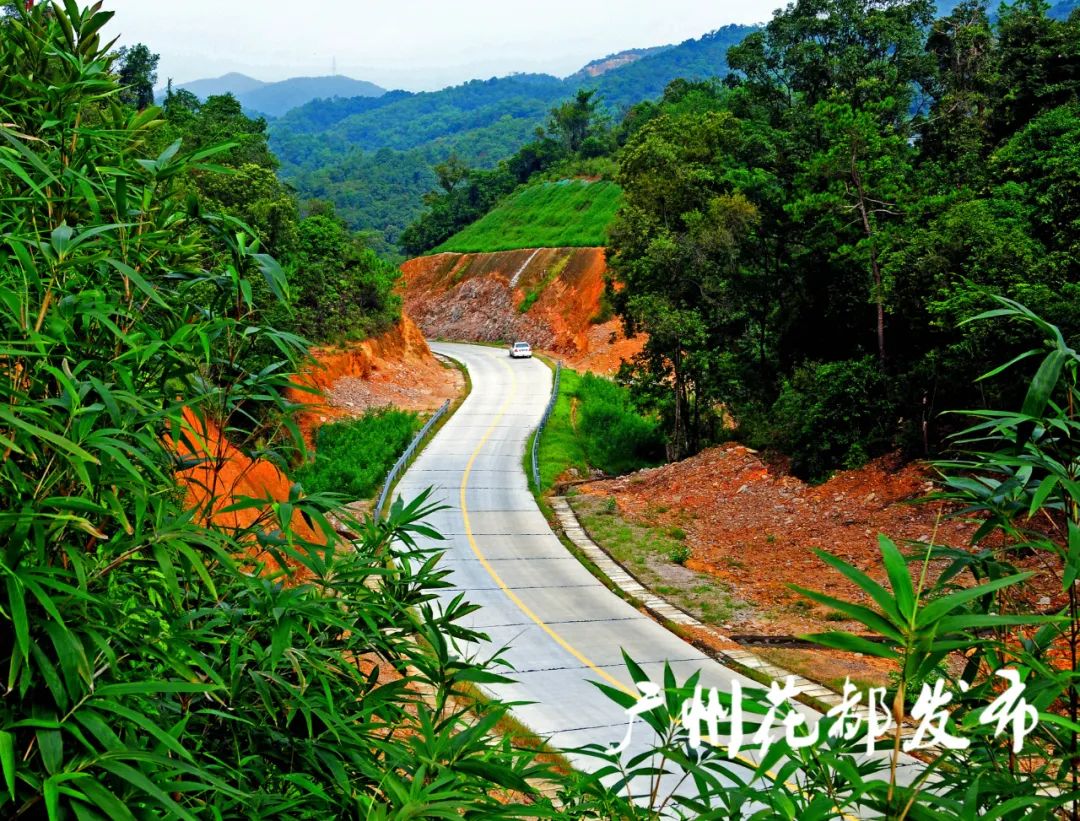 打通两条村,花都梯面红联路通车!