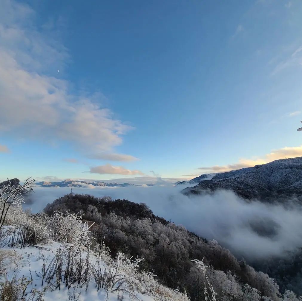 【惠游湖北】摄影作品丨神农架冬日雪景