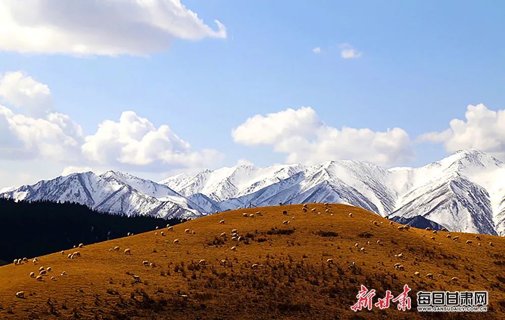 【外眼看肃南】冬日,肃南县香沟景区牧歌悠扬