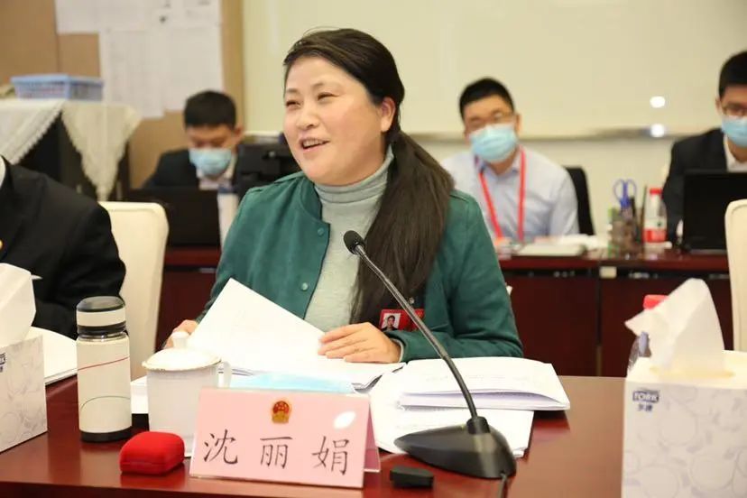 关注新城发展的骨与魂市十五届人大奉贤代表团递交74件建议