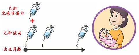 虽然乳汁中可检测到hbv dna,但如果母亲乳头无破溃,新生儿和婴幼儿没