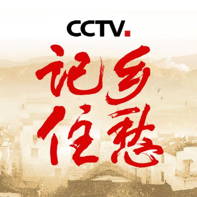 记住乡愁 cctv大型纪录片《记住乡愁》.