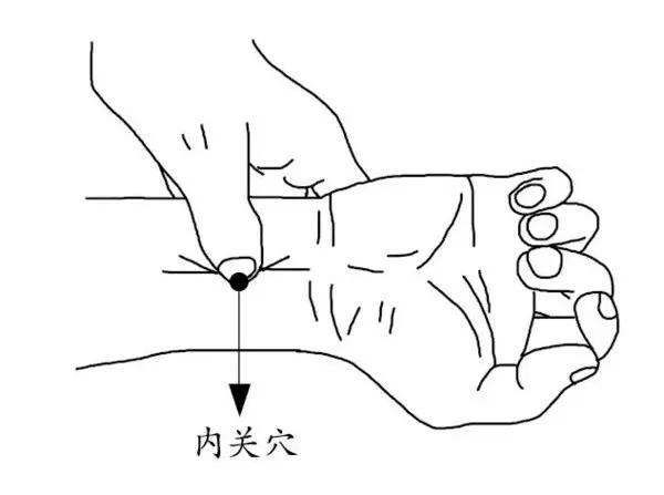 晕车怎么缓解?