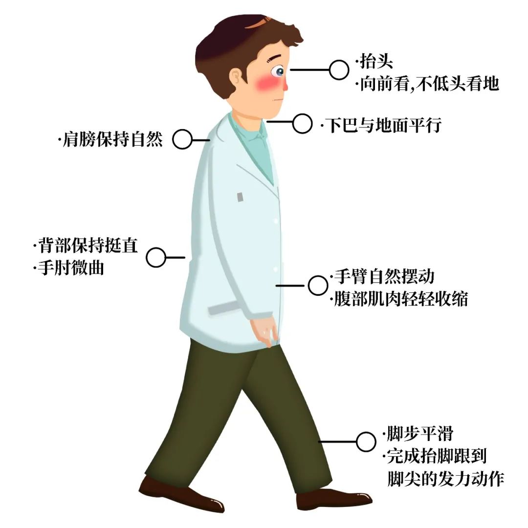 走路姿势:抬头挺胸 走路时可有意地调整呼吸,建议走三步吸气一次,再