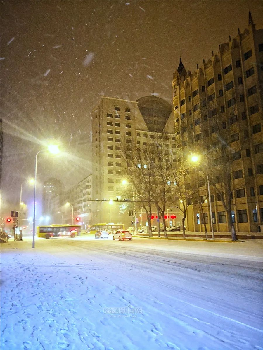 告别1月的大大大大雪……哈尔滨气象台发布蓝色暴雪预警