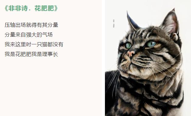 一代"猫奴"马未都